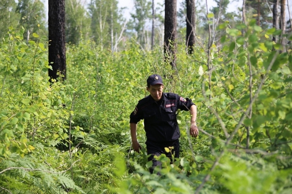 Полицейские ищут преступников. Тактика задержания вооруженных правонарушителей. Способы поиска преступников. Полиция прочесывает лес. Полиция и преступники.