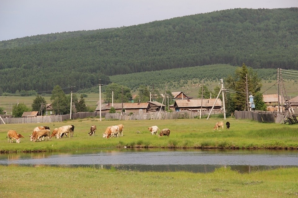 Боханский район село