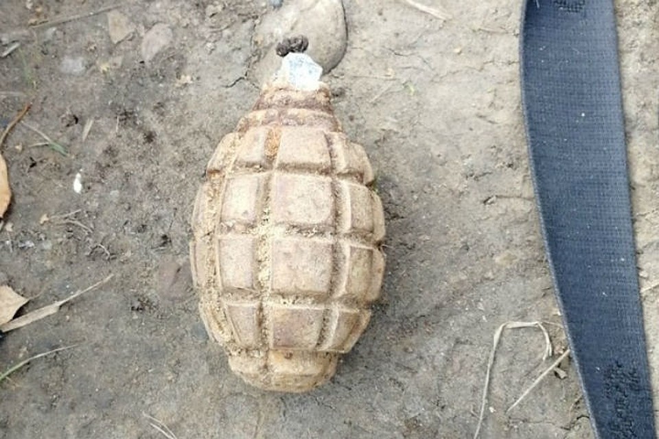 Граната ф1 времен вов. Нашли гранату. Растяжка граната. Граната ф1 в руке. Советская граната ф1.