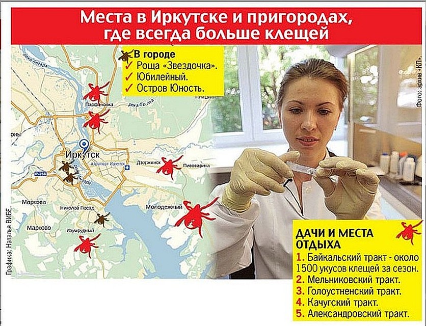 Карта опасных клещей